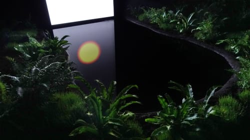 Set-Rise-Sun, mixed media installation by Cinzia Campolese, view 2 of 6