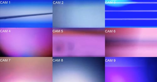 Infrared, performance - residency by Cinzia Campolese